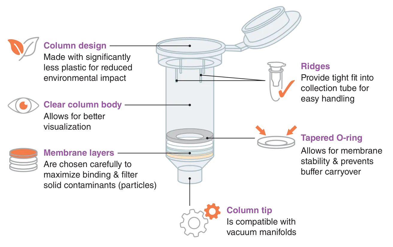 Column design for Monarch® Spin High-Capacity DNA Cleanup Kit