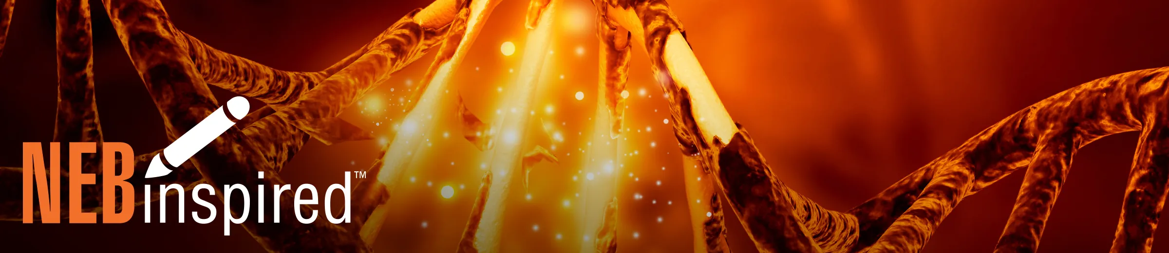 Closeup of red DNA with glowing yellow mutation, with NEBinspired logo