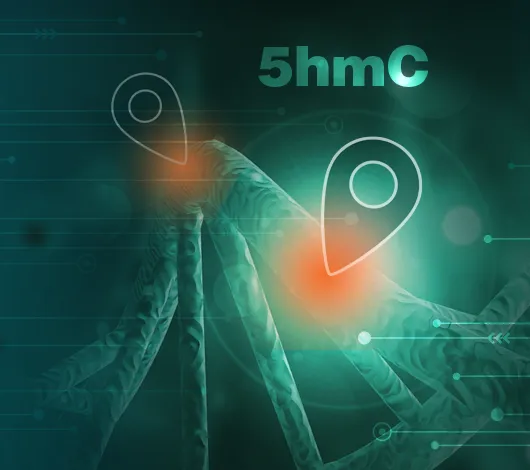 Collage of DNA with 5hmC modification and digital lines