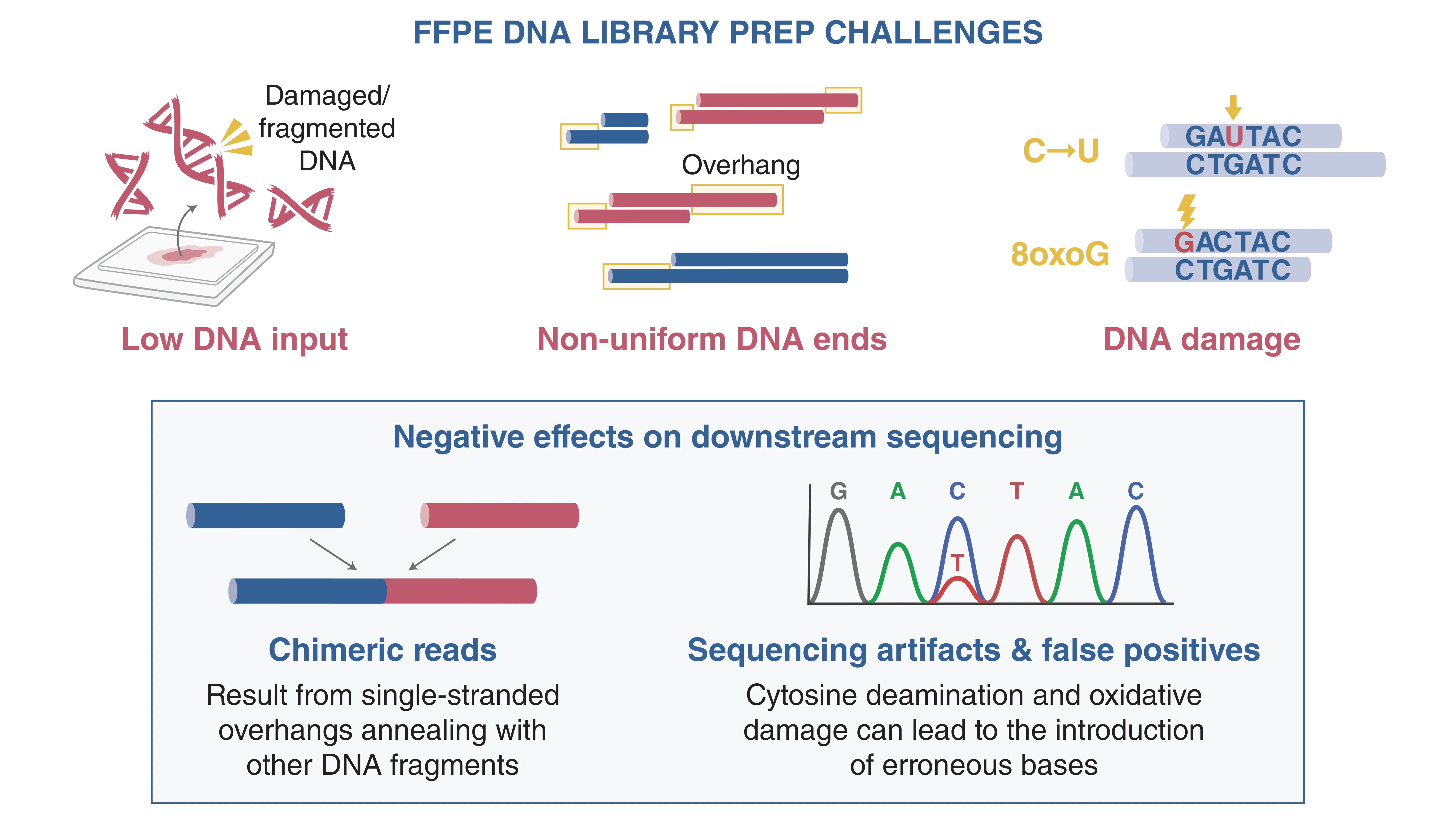 Infographic depicting the challenges of FFPE DNA library prep