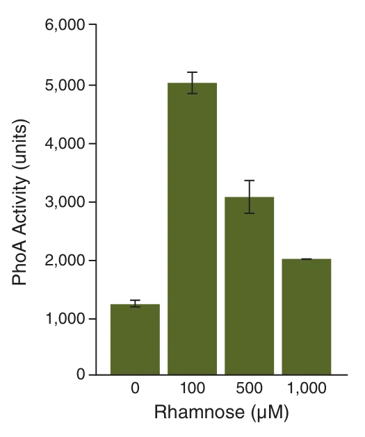 Bar graph showing PhoA activity versus Rhamnose (µM)