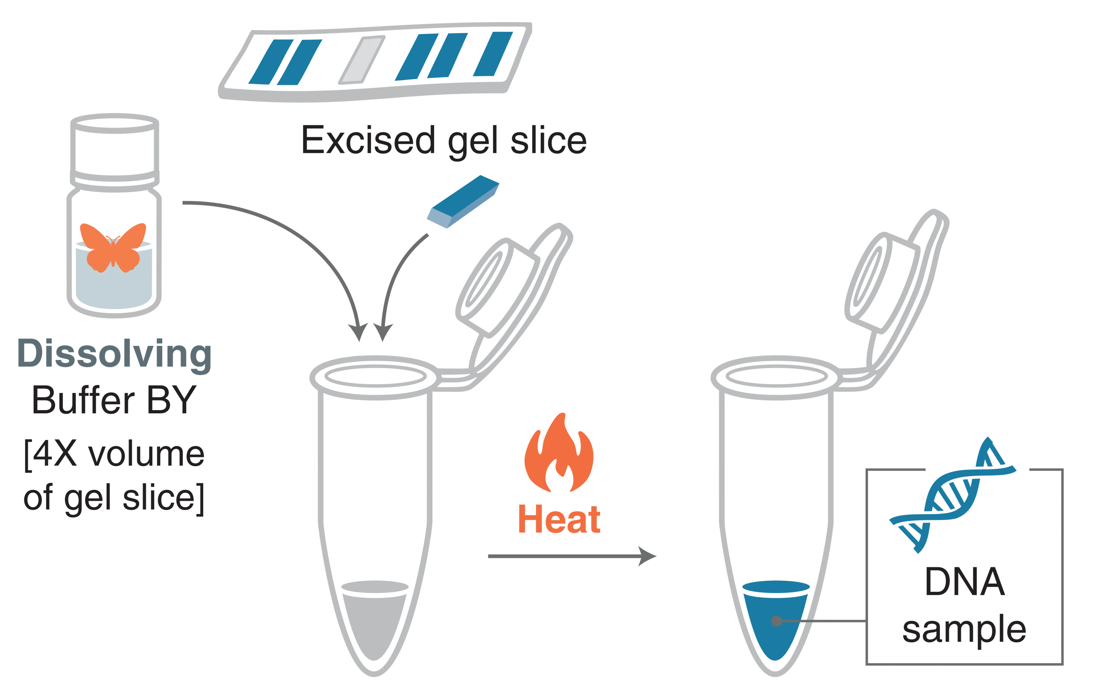 Infographic of Gel Extraction