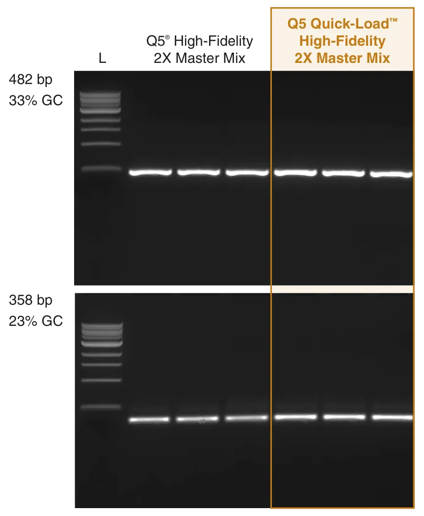 Gel depicting amplification of AT-rich targets  with Q5 Quick-Load High-Fidelity DNA Polymerase