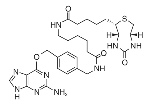 SNAP-Biotin® structure