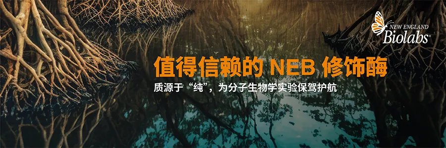 2026 新春启航，NEB 中国 25 周年“科研四季献礼” 春季篇正式开启！
