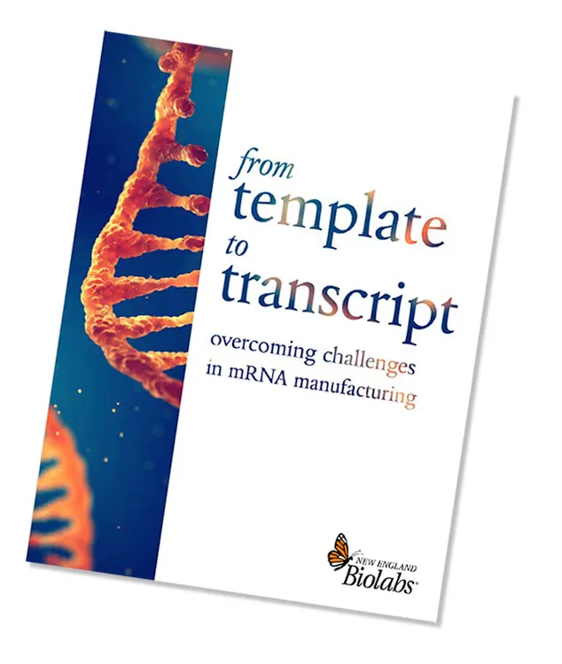 photo of eBook from template to transcript