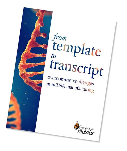 photo of eBook from template to transcript