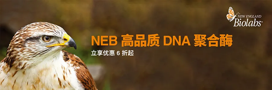 2026 新春启航，NEB 中国 25 周年“科研四季献礼” 春季篇正式开启！