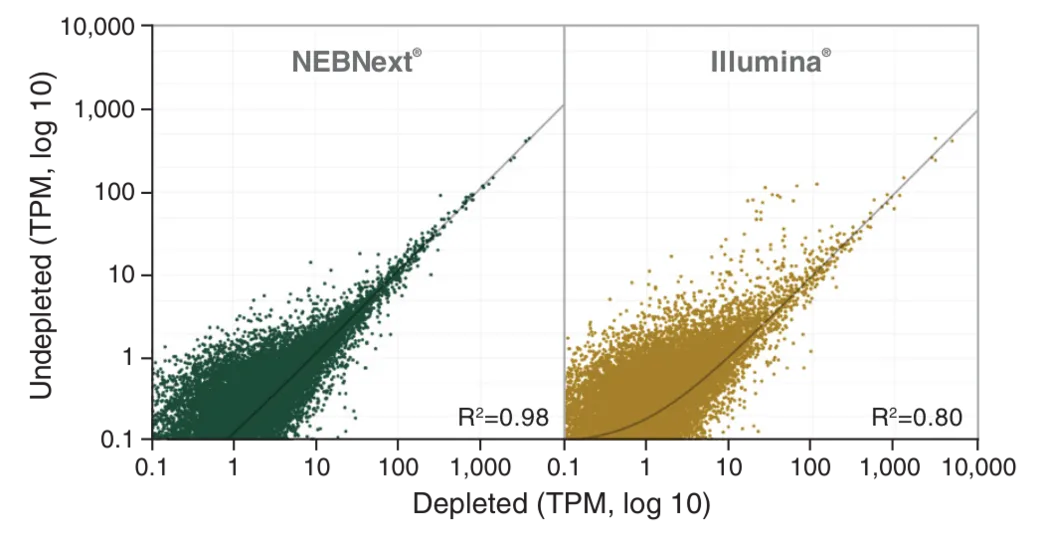 Plots of transcript correlation after depletion for NEBNext® and Illumina®