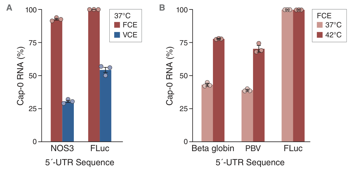 2 Graphs showing capping enzyme difficult UTRs Temps