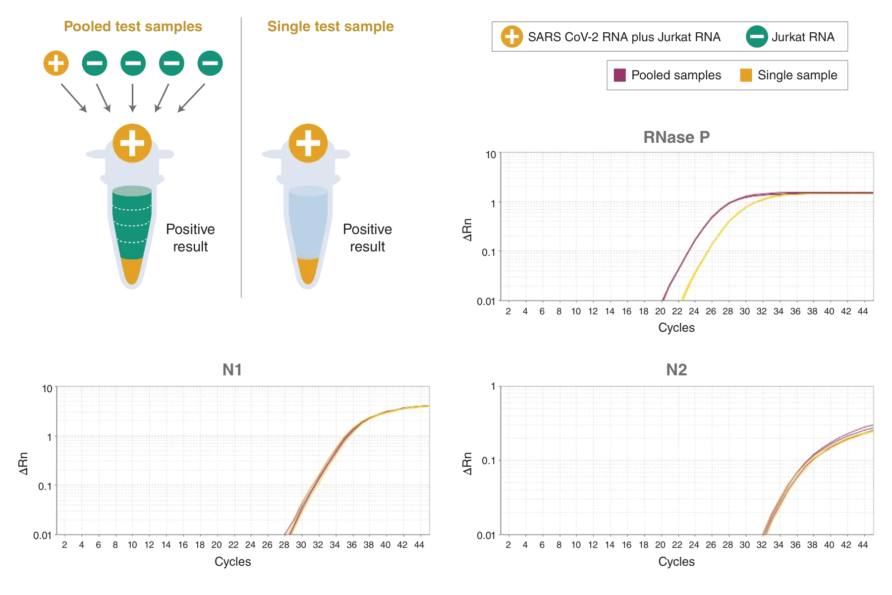 Diagram of RT-qPCR pooling using Luna® SARS-CoV-2 RT-qPCR Multiplex Assay kit 