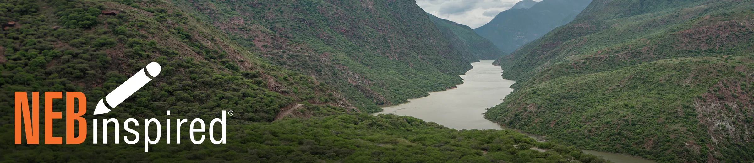 River flowing through a valley of mountains and trees, with NEBinspired logo