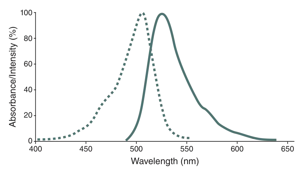 SNAP-Surface® 488 excitation and emission spectra