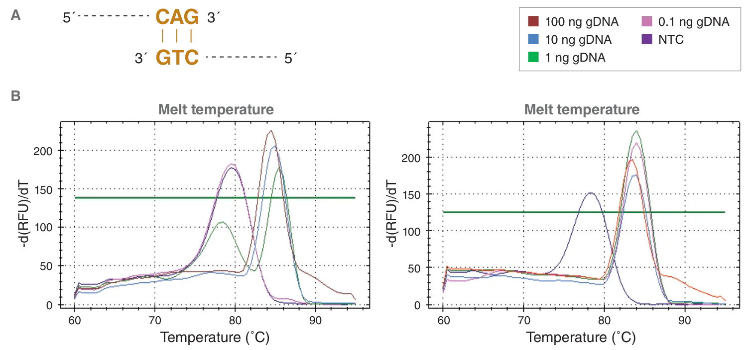 Curves depicting hot start enzyme effectiveness – NUMB assay