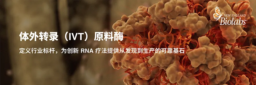 2026 新春启航，NEB 中国 25 周年“科研四季献礼” 春季篇正式开启！