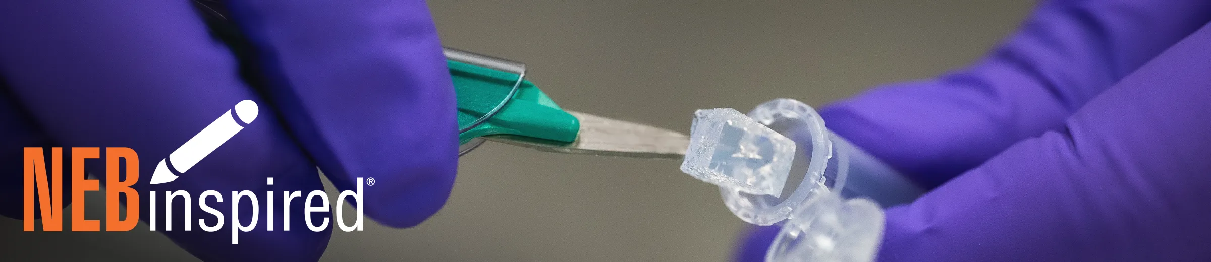 Closeup photo of gel excision for DNA gel extraction, with NEBinspired logo