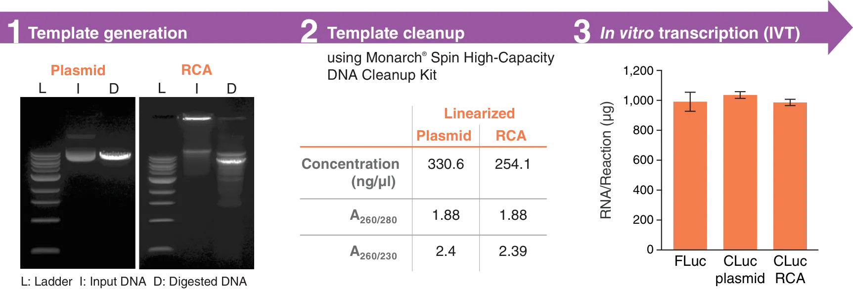 Workflow of template generation, template cleanup using Monarch® Spin High-Capacity DNA Cleanup Kit and downstream in vitro transcription (IVT)