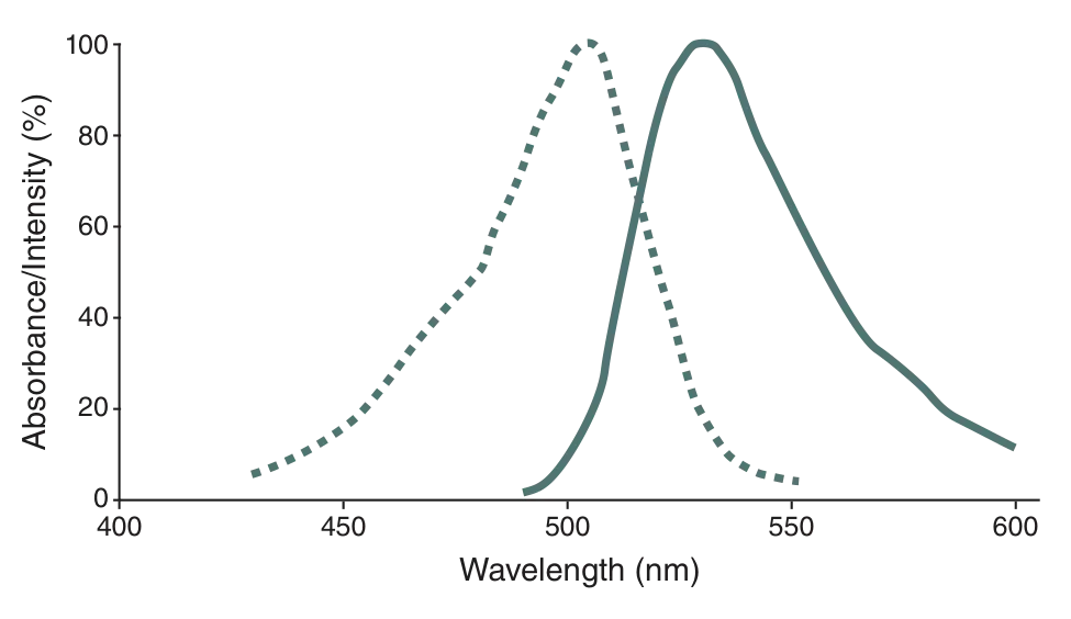 Excitation and emission spectra of SNAP-Cell® 505-Star
