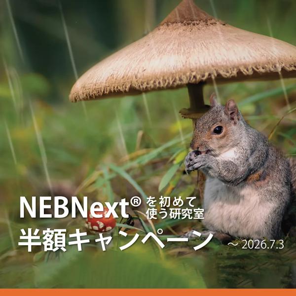 NEBNext FFPE DNA Repair v2 Module | NEB