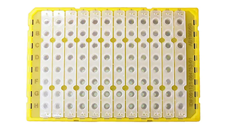 Product photo for 96-well plate format for LyoPrime Luna® Probe One-Step RT-qPCR Mix with UDG – NEB #L4001P