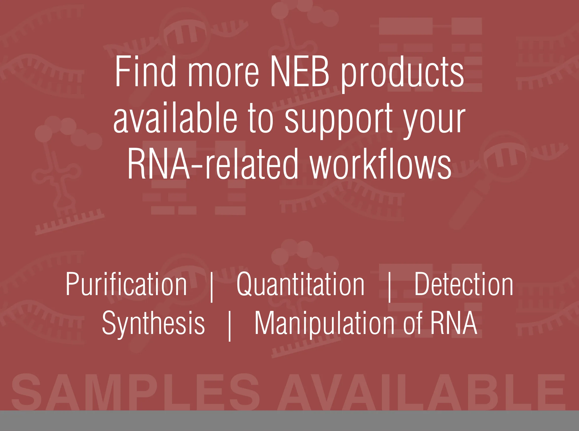 Contextual ad - Find more NEB products available to support your RNA-related workflows