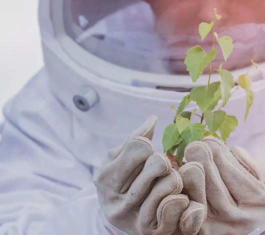 Astronaut in space suit holding a plant