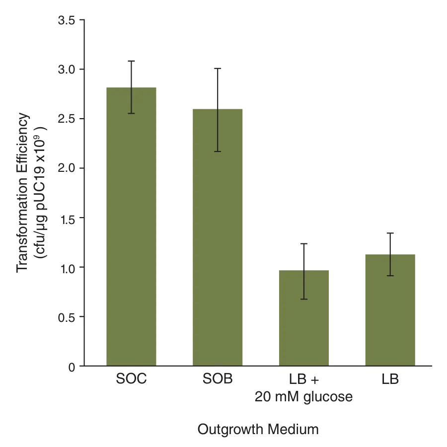 Bar graph showing transformation efficiency for various outgrowth media
