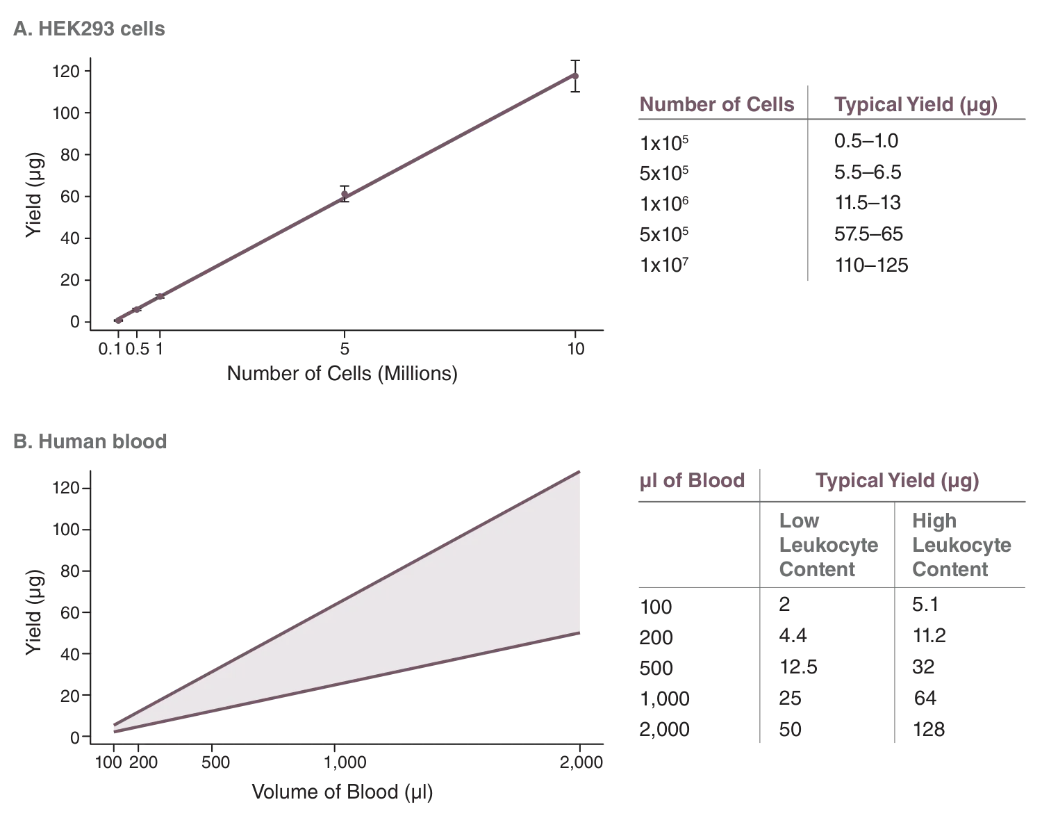 Typical yield of HEK293 cells and human blood using the Monarch® HMW DNA Extraction Kit for Cells & Blood