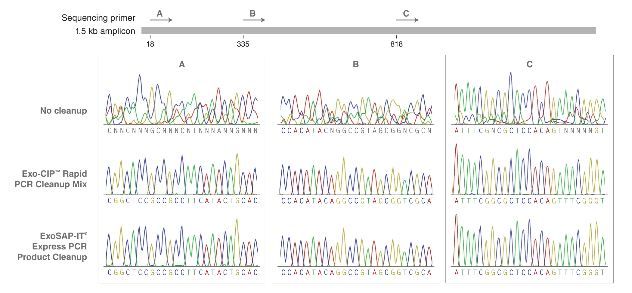 Comparison of sequencing data for no cleanup, cleanup with Exo-CIP Rapid PCR Cleanup Mix and cleanup with ExoSAP-IT™ Express PCR Product Cleanup on a 1.5 kb amplicon