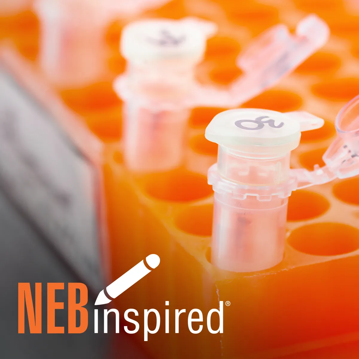 Rack of tubes and columns for nucleic acid purification and extraction, with NEBinspired logo