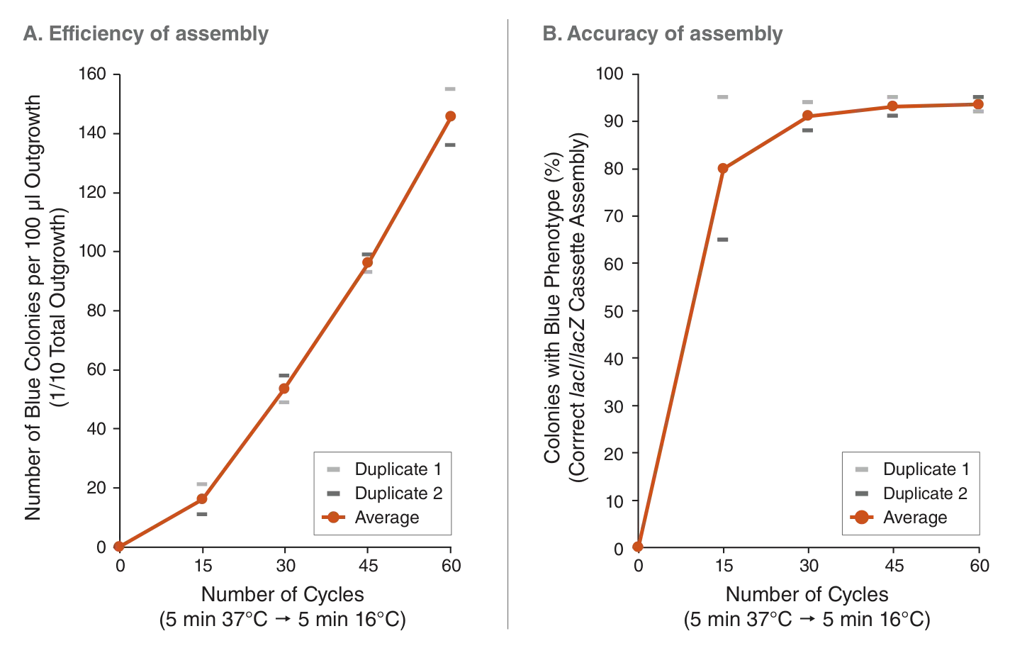 Line graphs depicting efficiency and accuracy of assembly with NEBridge® Golden Gate Assembly Kit (BsaI-HF® v2)