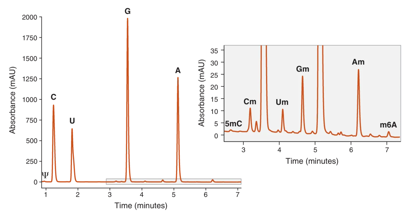 Absorbance tracing versus time with inset of 3 to 7 minutes