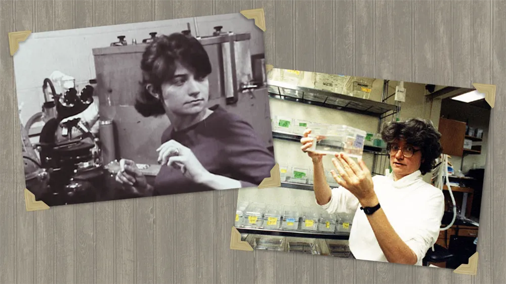 Nancy Hopkins historical lab photos