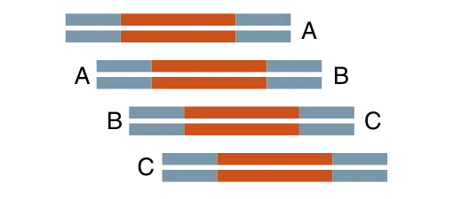 NEBuilder usage guideline: 750 bp x 4, 20 to 30 bp overlap