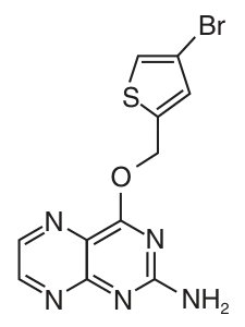 SNAP-Cell® Block structure