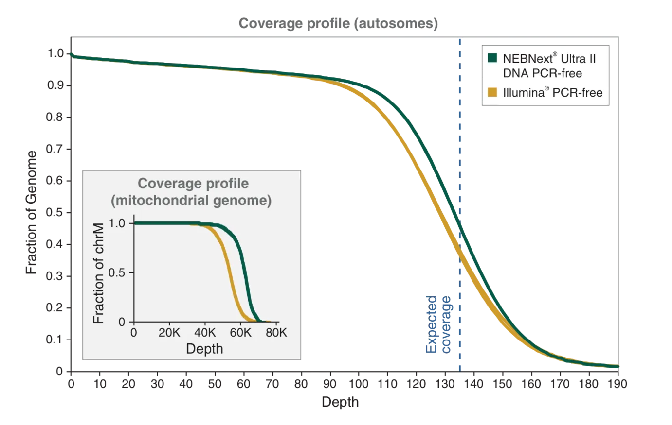 Line graph depicting coverage profile for NEBNext Ultra II DNA PCR-free as compared to Illumina® PCR-free