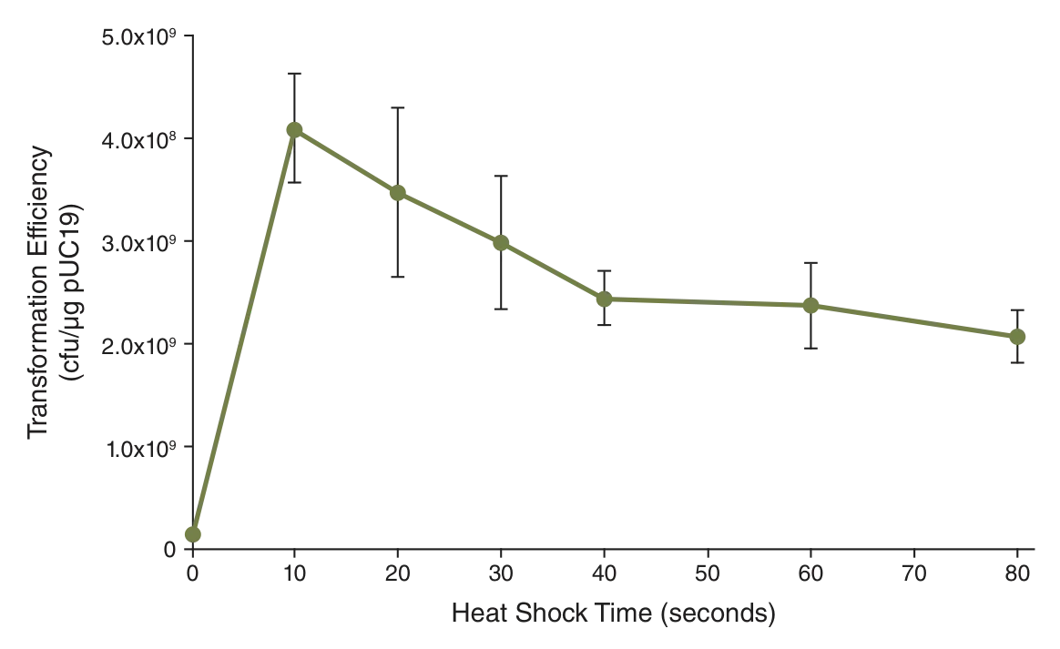 Line graph depicting effect of heat shock time