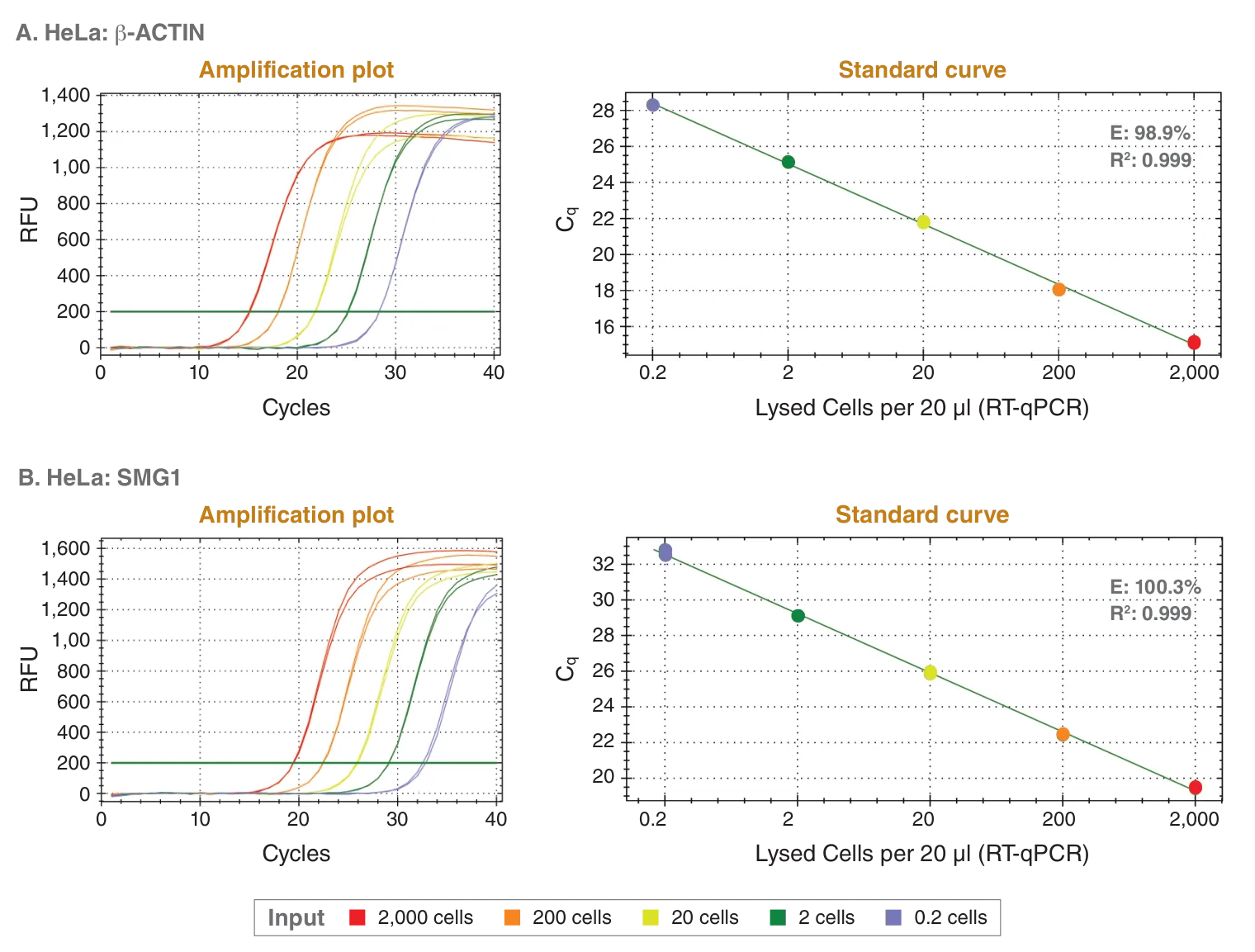 Amplification plots and standard curves for use of Luna Cell Ready with HeLa beta-actin and HeLa SMG1