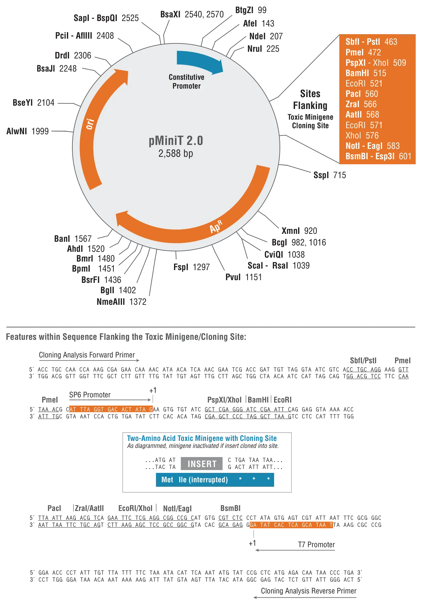 pMiniT 2.0 map