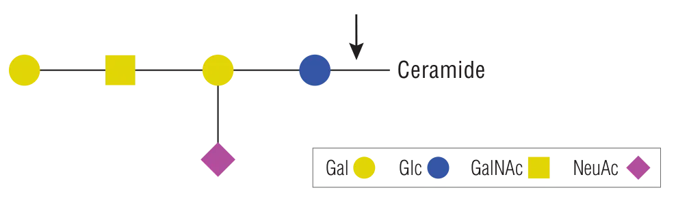 Mechanism of Endoglycoceramidase I (EGCase I)