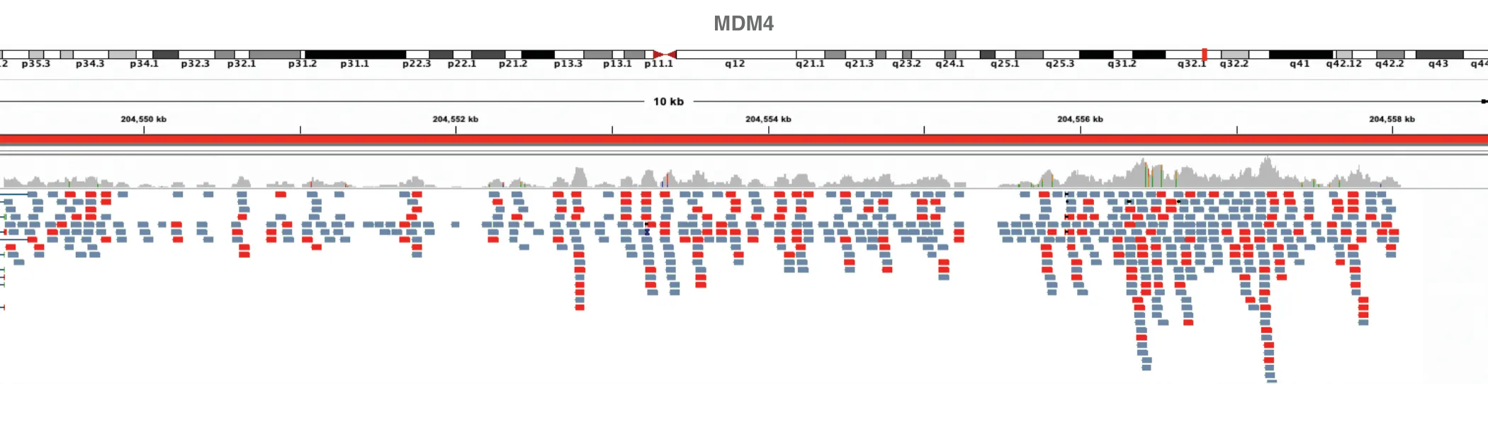 Mapped reads for NEBNext® Multiplex Oligos for Illumina (Unique Dual Index UMI Adaptors RNA Set 1)