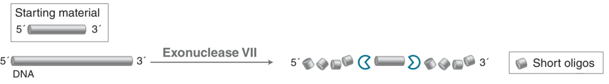 Diagram of mechanism