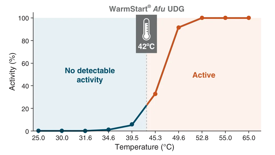 WarmStart® Afu UDG activation at 42°C on a line graph