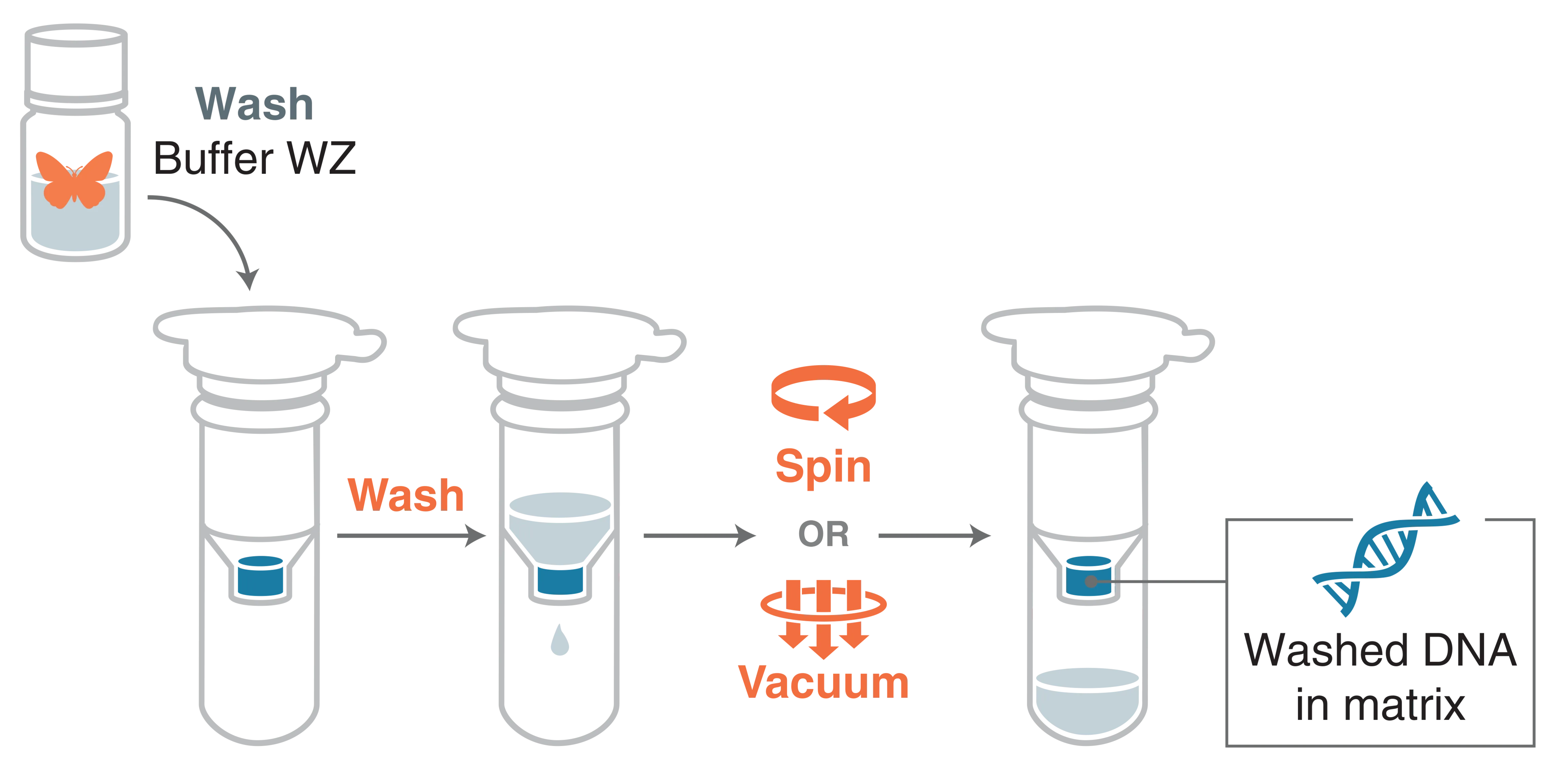 Infographic of Wash
