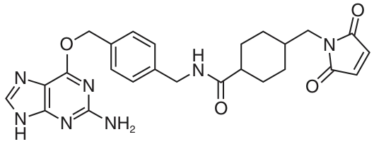 BG Maleimide structure