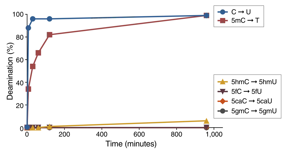 Line graph depicting substrate specificity of APOBEC3A