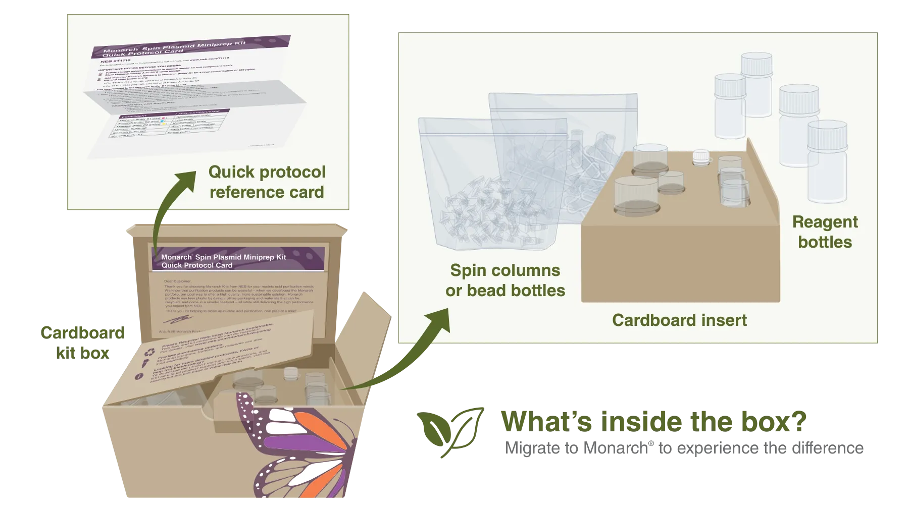 Monarch sustainability