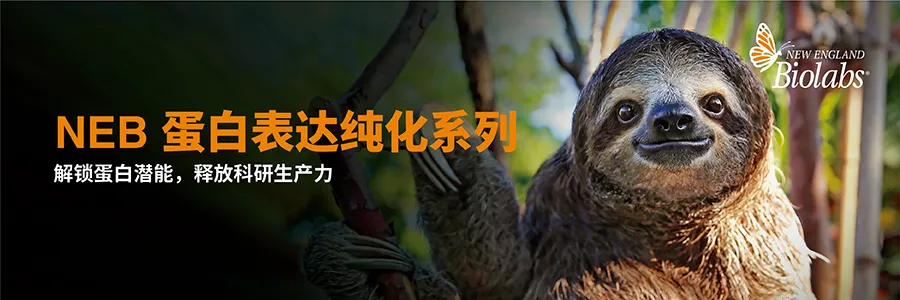 2026 新春启航，NEB 中国 25 周年“科研四季献礼” 春季篇正式开启！