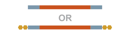 NEBuilder usage guideline: 70-mer ssDNA