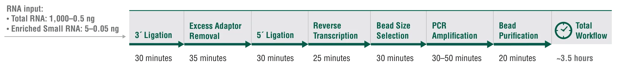 Workflow for NEBNext Low-bias Small RNA Library Prep Kit